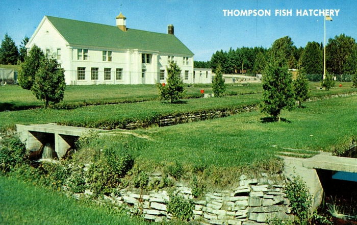 Thompson State Fish Hatchery - Vintage Postcard Back (newer photo)